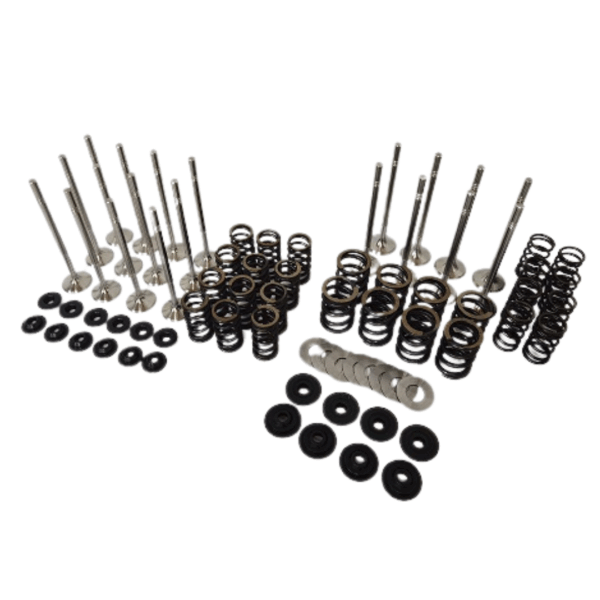 STK Performance Racing Dual Valve Spring Kit + 6mm Chromoly Retainers + Locators + Valve Set BMW M52