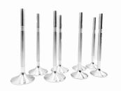 STK Performance Forged Stainless Steel Valve Set – EA888 (214-N)