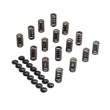 Racing Valve Spring Kit VW Polo 16v image 1