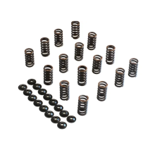 STK Performance - Single Valve Spring Kit VAG EA888 image 1